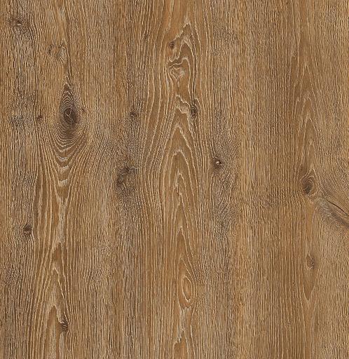 dub_panamskij dub_panamskij