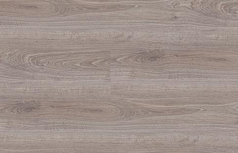 dub_arkticheskij dub_arkticheskij