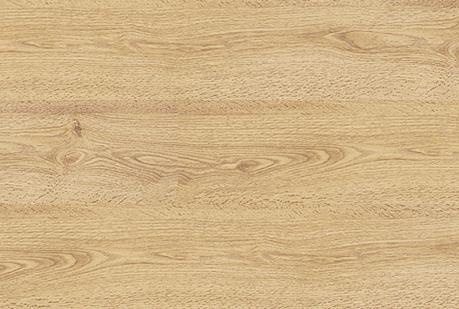 dub_atlanticheskij dub_atlanticheskij