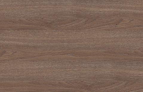 dub_indijskij dub_indijskij