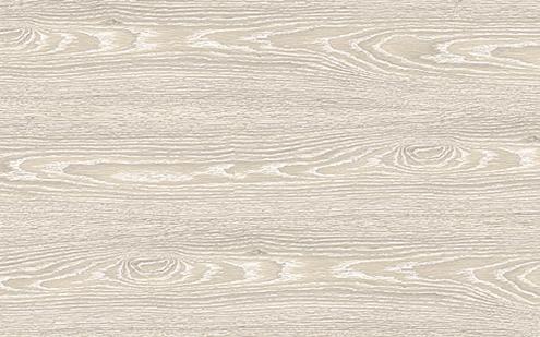 dub_polyarnyj dub_polyarnyj