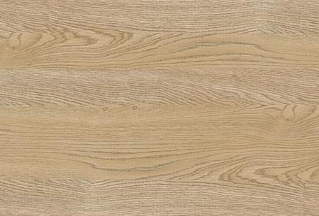 dub_tihookeanskij dub_tihookeanskij