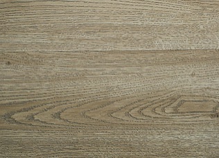 dub__belyj_316 dub__belyj_316