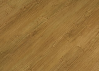 vishnya__evropejskaya vishnya__evropejskaya