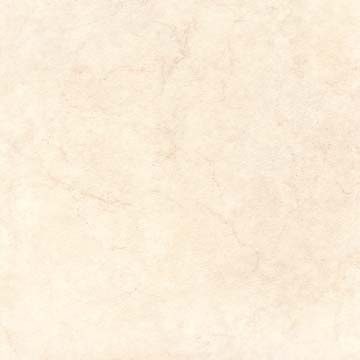 anya_100s_360 anya_100s_360