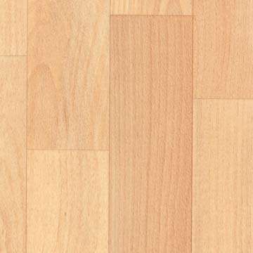 bich_plank_620s_360 bich_plank_620s_360