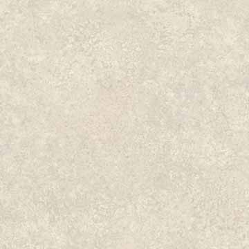 Charlotte 906S Charlotte 906S