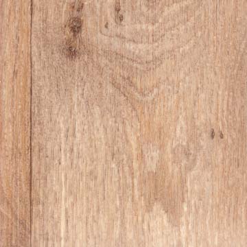 forest_oak_696m_360 forest_oak_696m_360