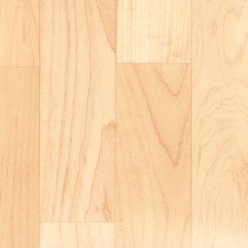 mapl_plank_600s_360 mapl_plank_600s_360