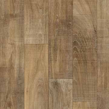 Water oak 694M Water oak 694M