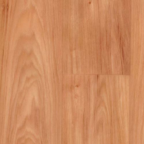 Pecan 1084 Pecan 1084