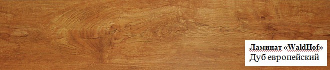 Дуб европейский Дуб европейский