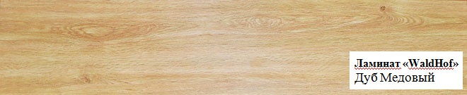 Дуб Медовый Дуб Медовый