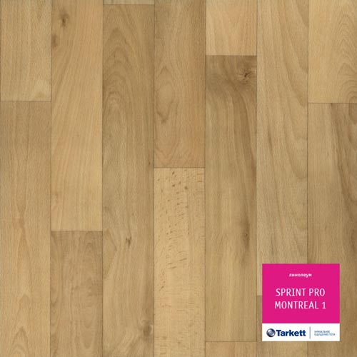 Montreal 1 Montreal 1