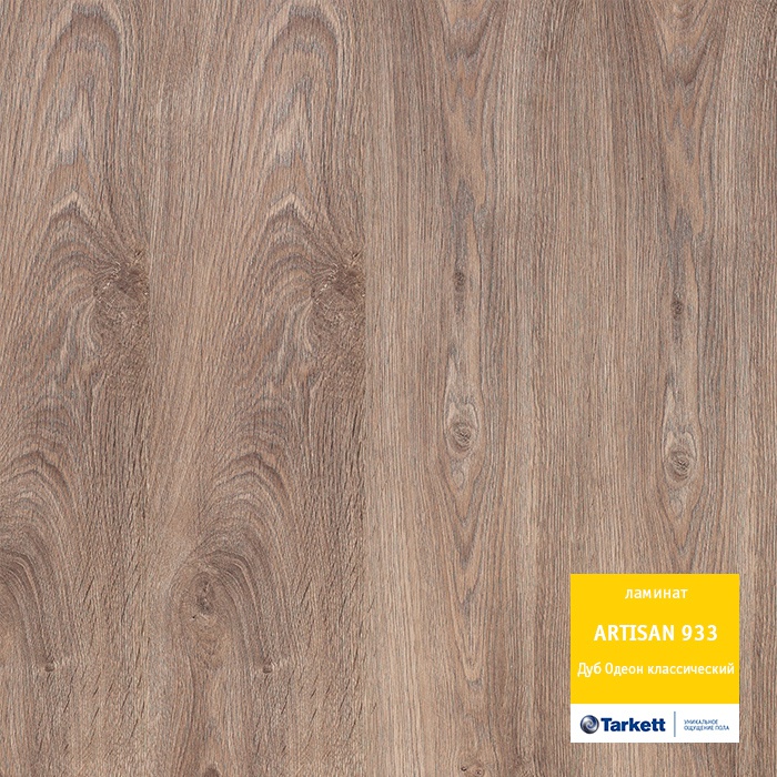 dub_odeon_klassicheskij dub_odeon_klassicheskij