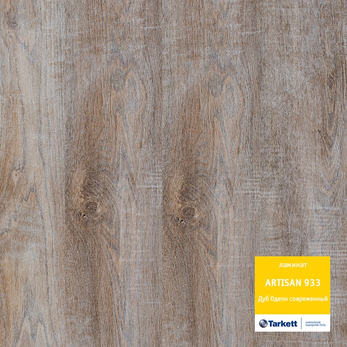 dub_odeon_sovremennyj dub_odeon_sovremennyj