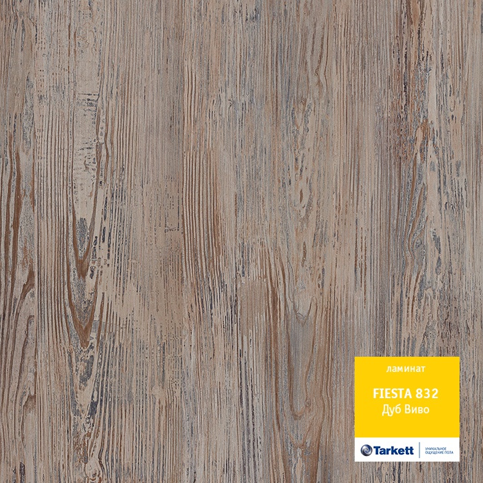 Дуб Виво Дуб Виво