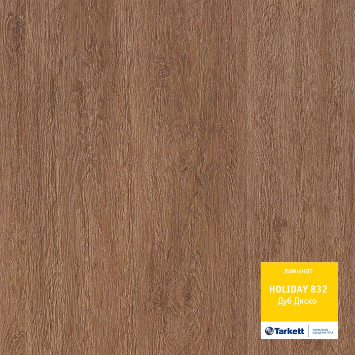 Дуб Диско Дуб Диско