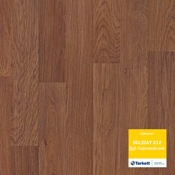 Дуб Пиренейский Дуб Пиренейский