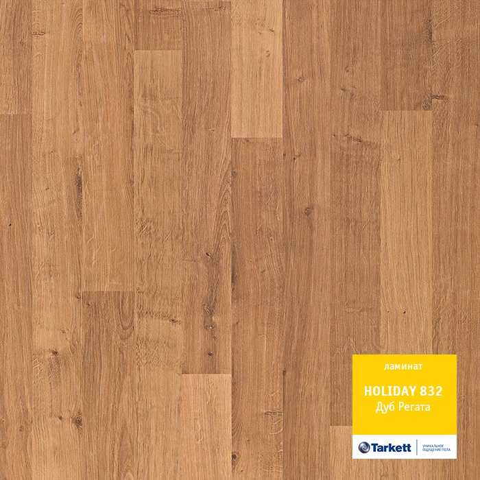 Дуб Регата Дуб Регата