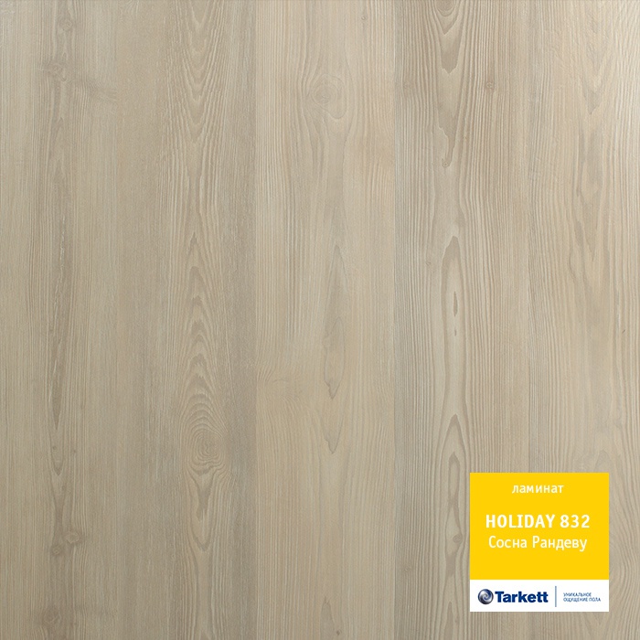 Сосна Рандеву Сосна Рандеву