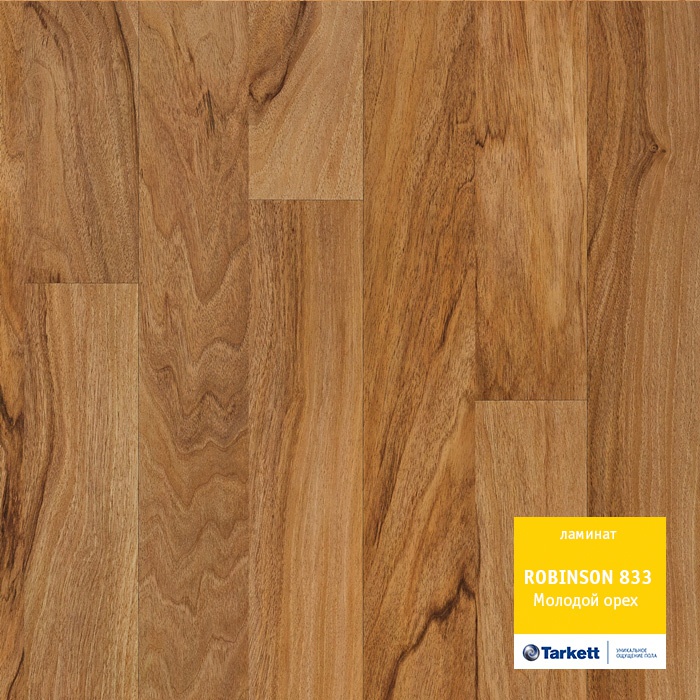 molodoj_oreh molodoj_oreh