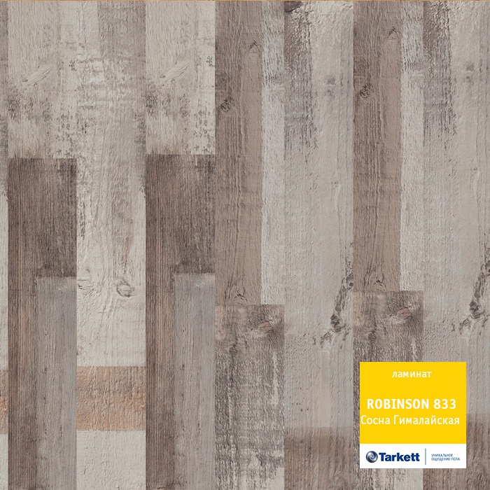 sosna_gimalajskaya sosna_gimalajskaya