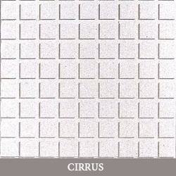 cirrus cirrus